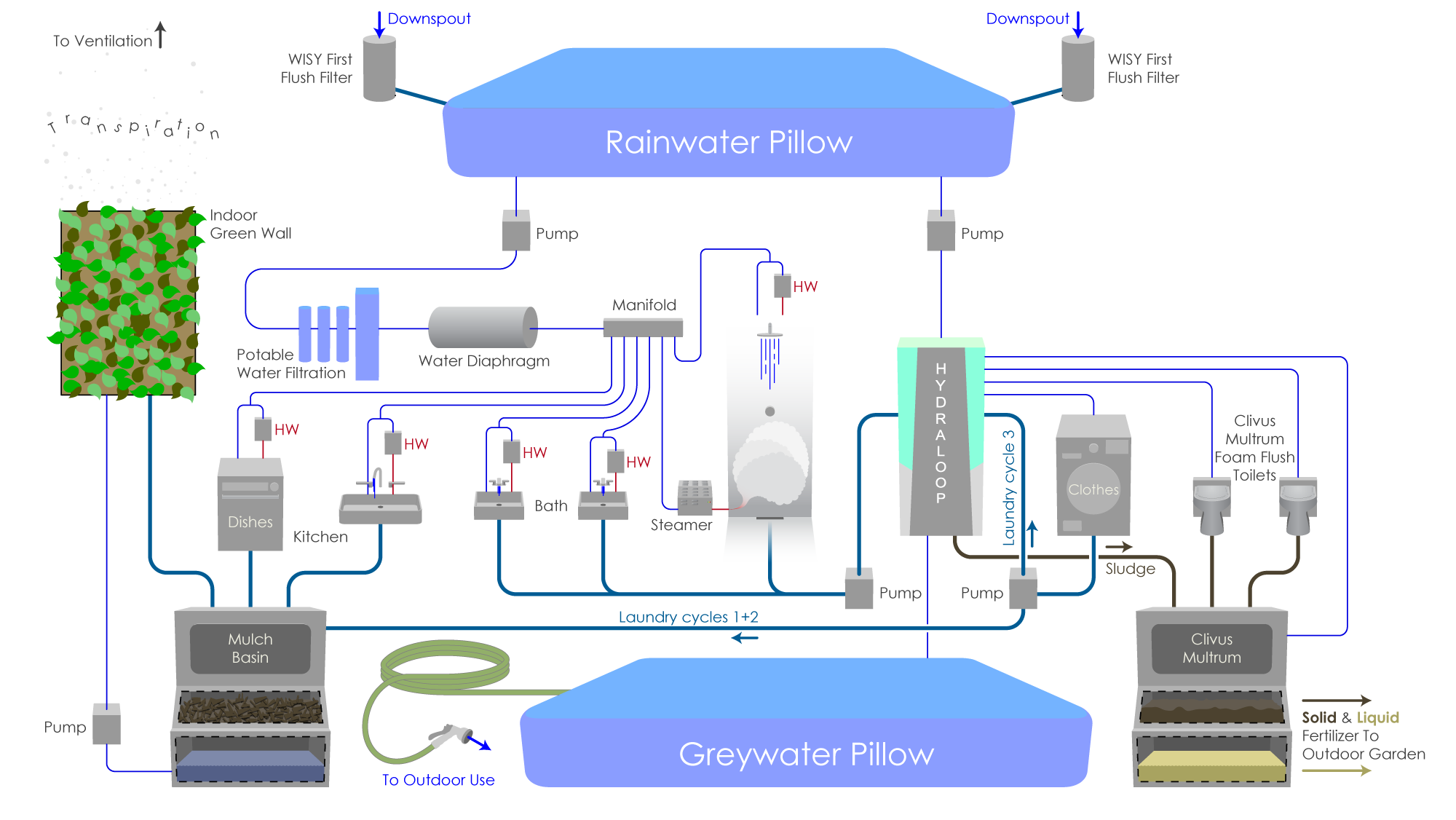 the-water-cycle-of-the-seed-iii-sustaining-tree